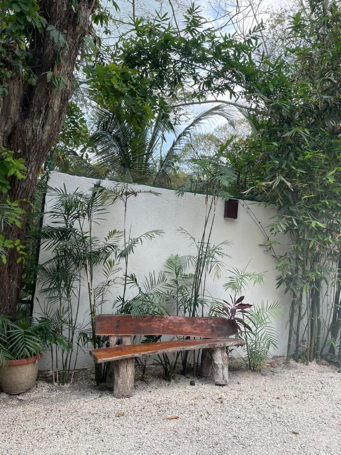 Hotel Diosa Del Agua Bacalar Kültér fotó